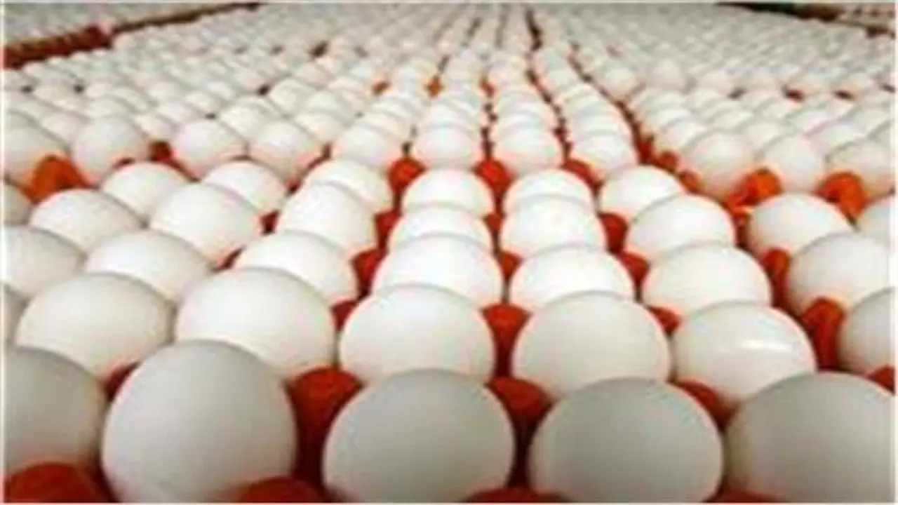 تحديثات الأسواق.. انخفاض جديد في أسعار البيض خلال تعاملات الخميس 22 يناير